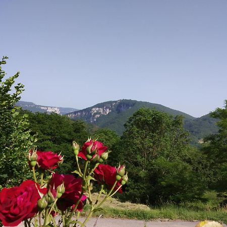 Au Chalet D'Anna Saint-Rambert-en-Bugey Eksteriør billede