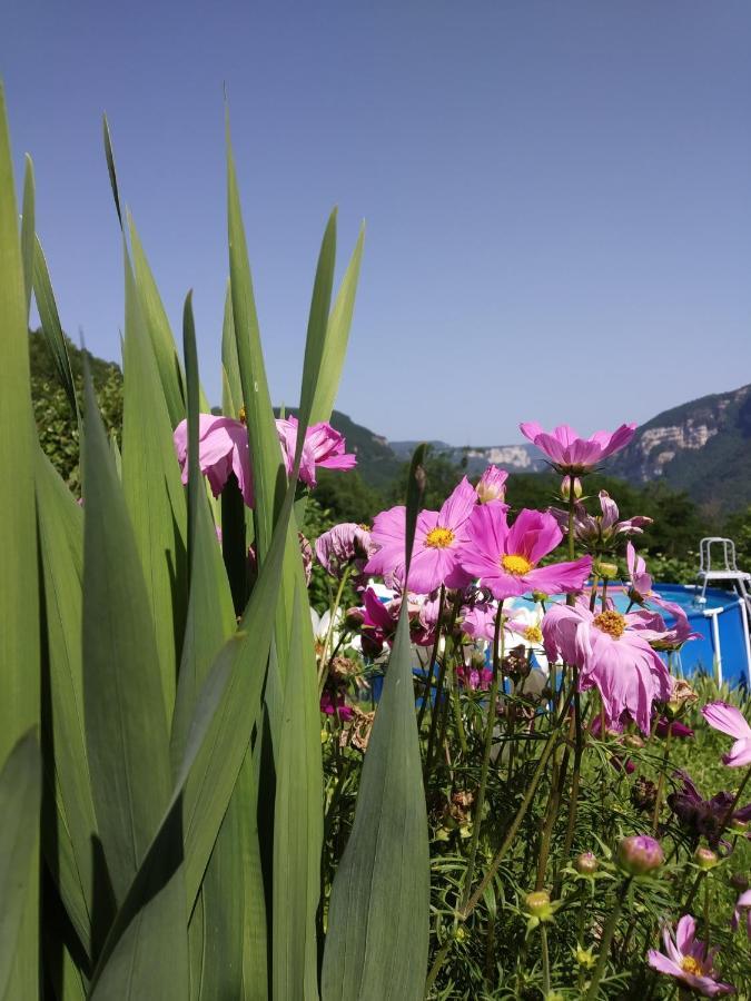 Au Chalet D'Anna Saint-Rambert-en-Bugey Eksteriør billede