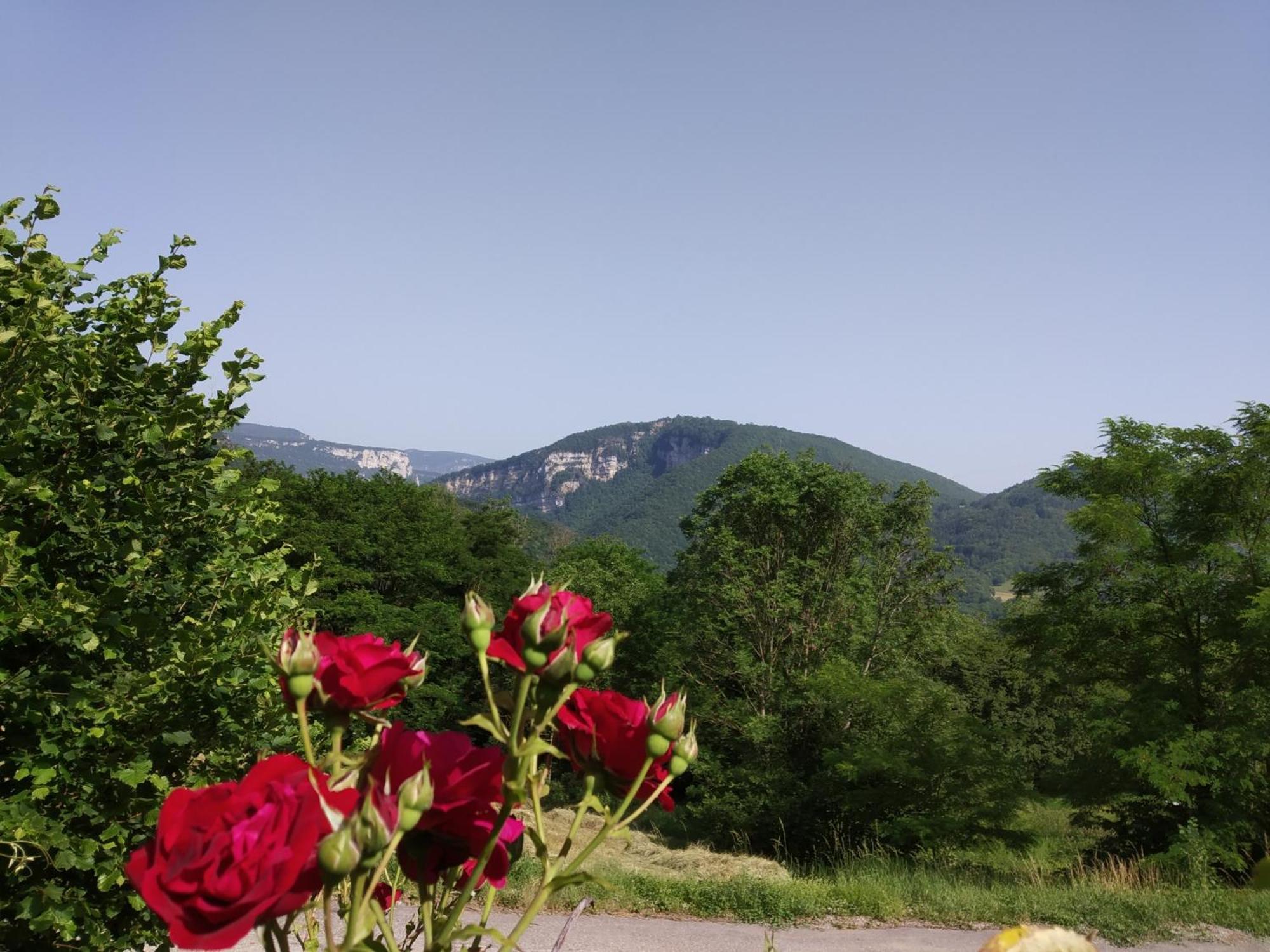 Au Chalet D'Anna Saint-Rambert-en-Bugey Eksteriør billede
