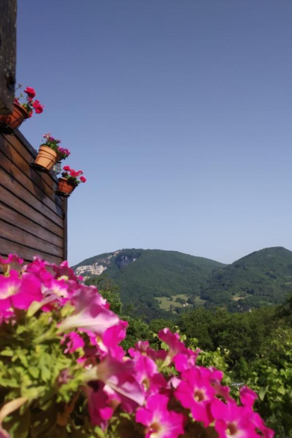 Au Chalet D'Anna Saint-Rambert-en-Bugey Eksteriør billede
