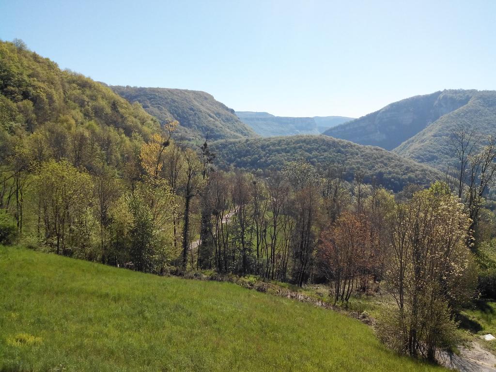 Au Chalet D'Anna Saint-Rambert-en-Bugey Eksteriør billede