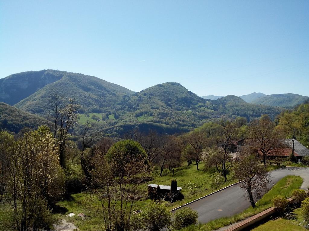 Au Chalet D'Anna Saint-Rambert-en-Bugey Eksteriør billede