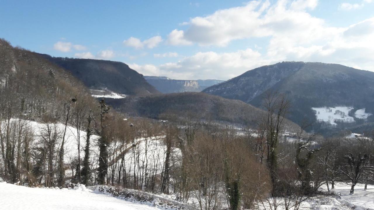 Au Chalet D'Anna Saint-Rambert-en-Bugey Eksteriør billede